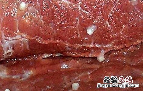 米猪肉是什么肉 什么样的肉是米猪肉