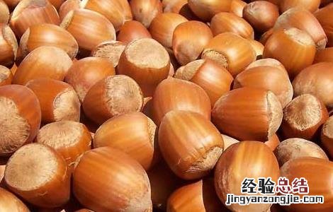 榛子的营养价值 榛子的营养价值及功效与作用禁忌