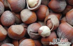 榛子的营养价值 榛子的营养价值及功效与作用禁忌