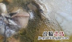 当归黄芪鸡汤做法 当归黄芪鸡汤做法大全