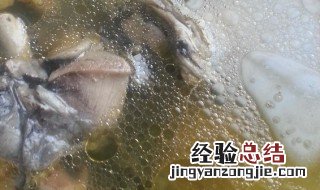 当归黄芪鸡汤做法 当归黄芪鸡汤做法大全