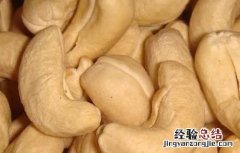 腰果的营养价值 腰果的营养价值有哪些