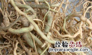 倒吊黄的功效与作用 倒吊黄主要的功效是什么
