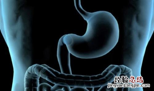 人肚里肠子有多长 肠子有多长