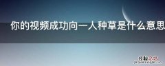 你的视频成功向一人种草是什么意思 你的视频有一人种草成功