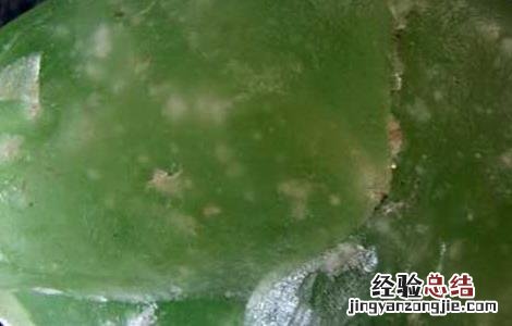 绿玉髓的功效与作用图片 绿玉髓的功效与作用