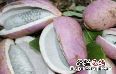 八月炸果的功效与作用 水果八月炸的功效与作用