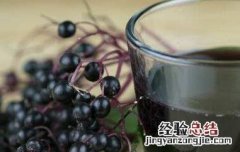 接骨木果实的功效与作用 接骨木果汁的功效与作用