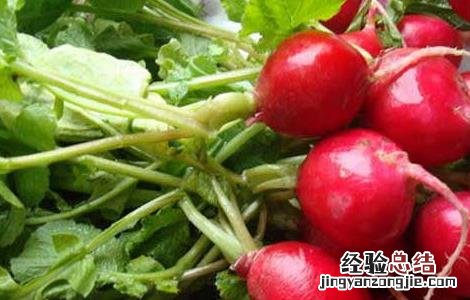 蔬菜营养价值排行榜最新 蔬菜营养价值排行榜