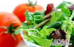 蔬菜营养价值排行榜最新 蔬菜营养价值排行榜