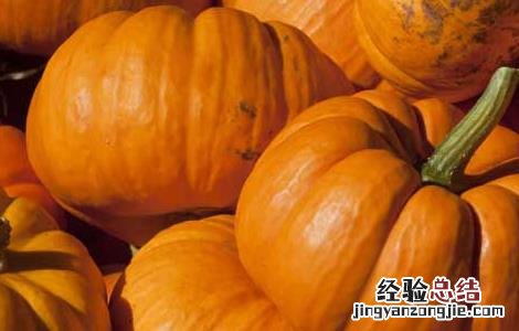 蔬菜营养价值排行榜最新 蔬菜营养价值排行榜