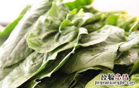 蔬菜营养价值排行榜最新 蔬菜营养价值排行榜