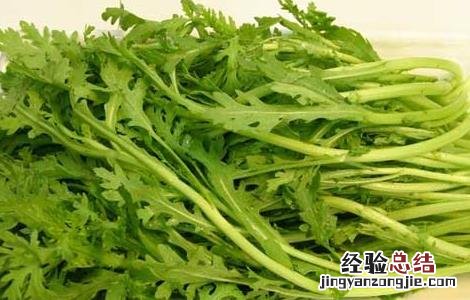 青菜茼蒿的营养价值 茼蒿的营养价值