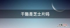 干酪是不是芝士片 干酪是芝士片吗