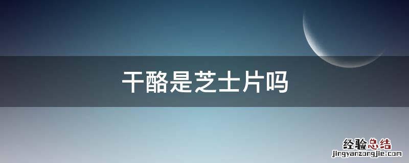 干酪是不是芝士片 干酪是芝士片吗