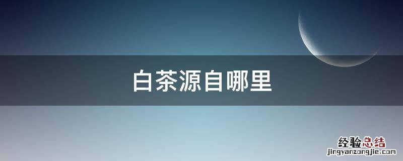 白茶源自哪里 白茶发源地是哪里