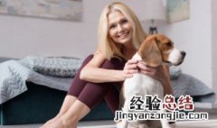 宠物医师证怎么考 如何考宠物医师证