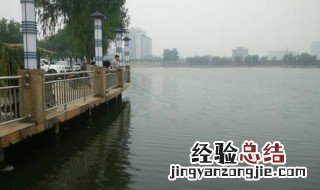 郑州帝湖钓鱼怎样收费的 郑州帝湖钓鱼都用什么饵料
