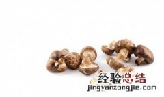 松茸养生茶能喝吗 喝松茸茶有什么好处