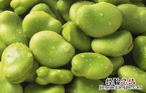 蚕豆的营养价值 蚕豆的营养价值及功效与作用