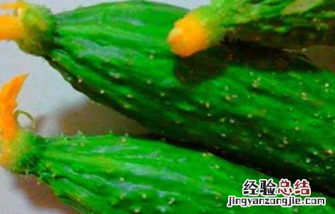 怎样区分黄瓜上有没有避孕药 避孕黄瓜的鉴别方法