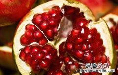 石榴皮有什么功效呢 石榴皮的功效有哪些