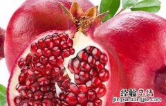 石榴籽的功效与作用 水煮石榴籽的功效与作用