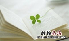 沉着的意思 会意的意思
