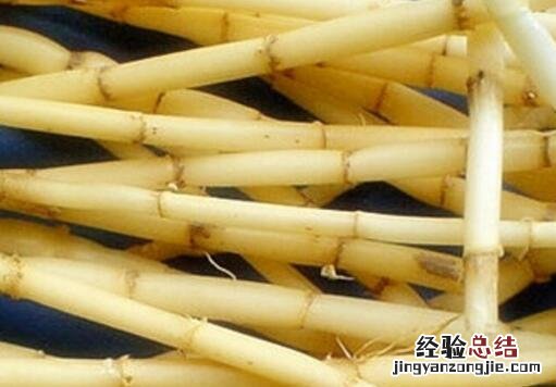 白茅根的营养价值