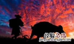 老牛自知夕阳晚不用扬鞭自奋蹄是什么意思 你了解了吗