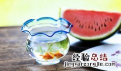 调目钓目是什么状态 钓目和调目是什么意思