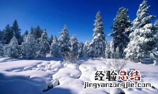 初中关于写雪的句子 初中生描写下雪的优美句子