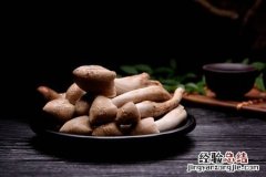 黑皮鸡枞菌栽培技术及配方 黑皮鸡枞菌种植栽培技术是怎样的