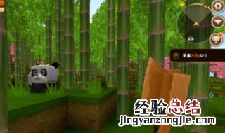 迷你世界白杨木林的地形码是多少 迷你世界桃林和白杨树林地形码