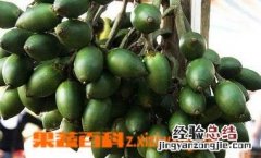 吃槟榔的好处 吃槟榔的好处和坏处都在哪里