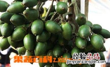 吃槟榔的好处 吃槟榔的好处和坏处都在哪里