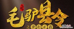 毛驴县令恬妞怎么换了 毛驴县令换女主角