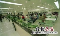 健康食堂标语大全 健康食堂标语
