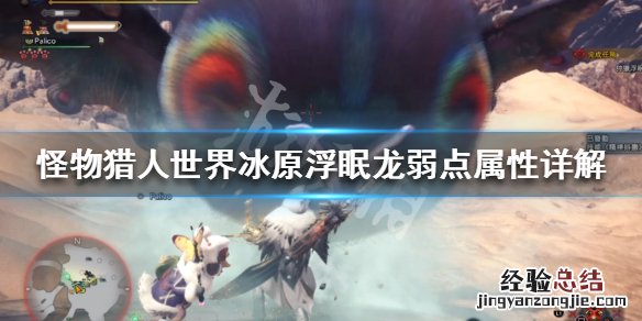 怪物猎人世界冰原浮眠龙弱什么属性 怪物猎人世界冰原浮眠龙弱点
