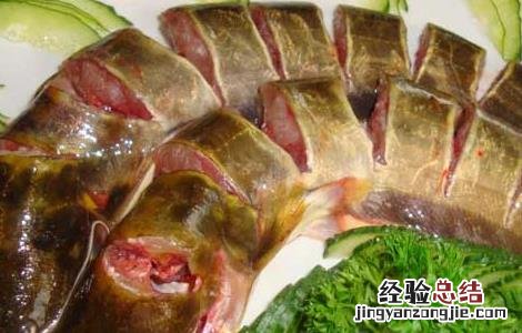 鲶鱼的营养价值有哪些 鲶鱼的营养价值有哪些品种