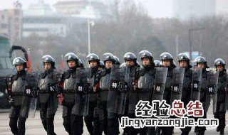 特警力量新兵干掉老兵是哪一集 结局竟然是他死了