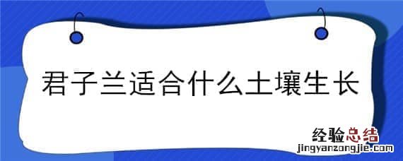 君子兰适合什么土壤生长 君子兰适应什么土壤栽培?