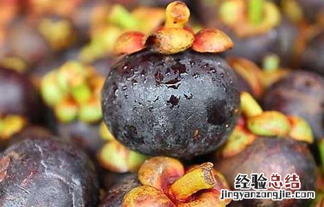 山竹的功效与作用及禁忌 山竹的功效与作用及禁忌(4