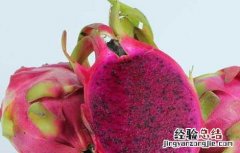 孕妇吃火龙果有什么效果 孕妇吃火龙果的好处