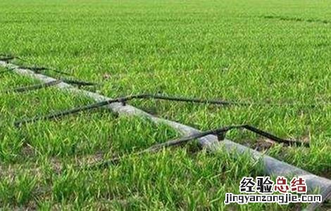 滴灌使用过程中常见误区 滴灌使用方法中存在的问题有哪些