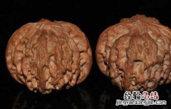 文玩核桃是什么? 文玩核桃是什么东西