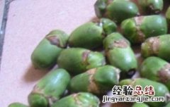 吃槟榔的好处和坏处有哪些 吃槟榔的好处和坏处