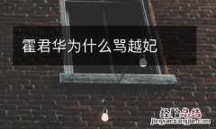 霍君华为什么骂越妃