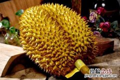 剥下来的榴莲肉没熟怎么办 榴莲肉没熟但是剥开了怎么办