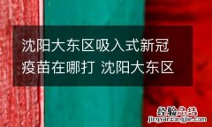 沈阳大东区吸入式新冠疫苗在哪打 沈阳大东区吸入式新冠疫苗在哪打的